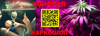 стафф Будённовск